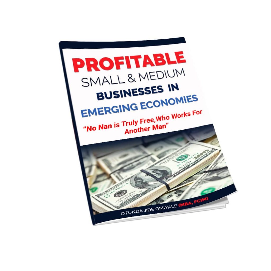 Profitable Small and Medium Businesses in Emerging Economies